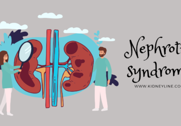 graphics of the kidney with a text that says nephrotic syndrome