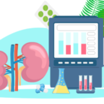 A Quick and Easy Overview of Kidney Diseases