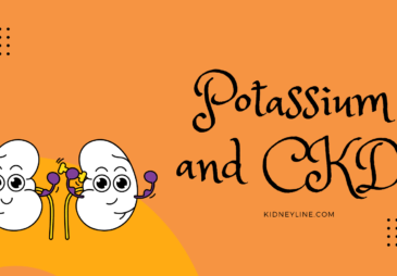 An image of the kidney and a text that reads, potassium and CKD