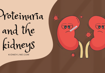 Graphics of the kidneys with the text proteinuria and the kidneys