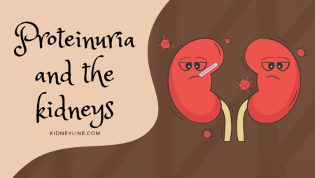 Graphics of the kidneys with the text proteinuria and the kidneys