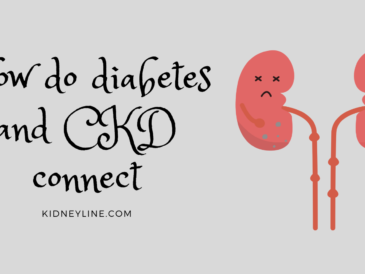 Graphics of the kidneys with the text "how do diabetes and ckd connect".