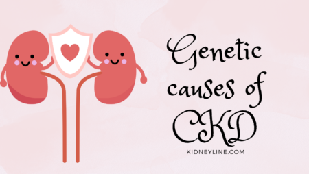 Image of the kidneys and a text reading genetic causes of CKD