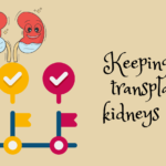 How to Use Digital Tools to Promote Health After a Kidney Transplant.