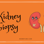 How to Use Digital Tools to Promote Health After a Kidney Transplant.