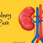 How do the heart and the kidneys connect?