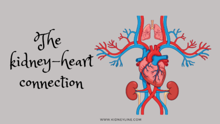 Graphics of the heart and kidneys